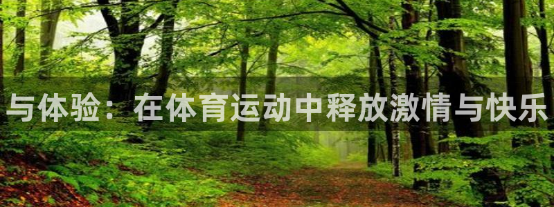 凯发官方正版app集团:与体验:在体育运动中释放激情与快乐